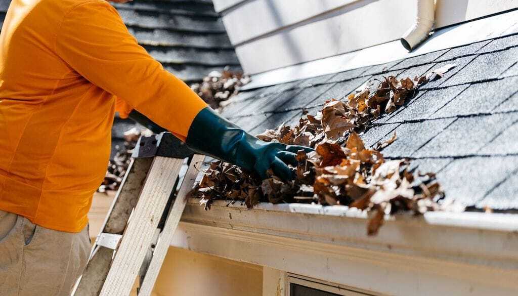 gutter-cleaning Gutter repair, cleaning and replacement service